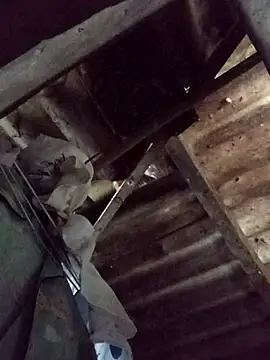 Snapshot of _Helala_ chatting on 10.21.25  Helala  online show from 10.21.25