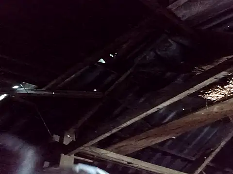 Snapshot of _Helala_ chatting on 10.25.25  Helala  online show from 10.25.25