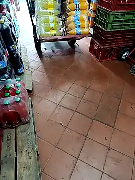 VERONICA  03 online show from 09.20.25