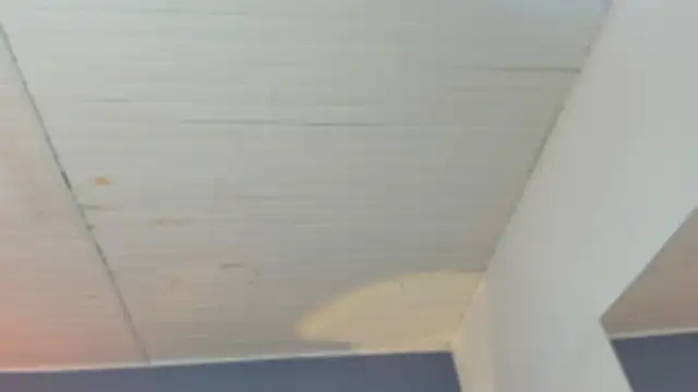 BellaBoobs  online show from 10.03.25