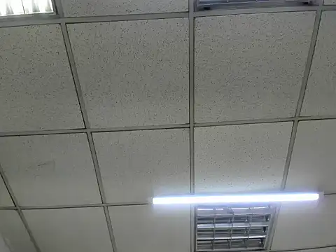 Snapshot of ScarletDoll chatting on 10.24.25 ScarletDoll online show from 10.24.25