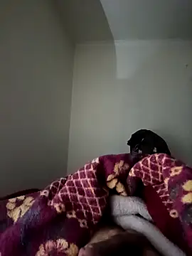 bomcasal online show from 02.17.26