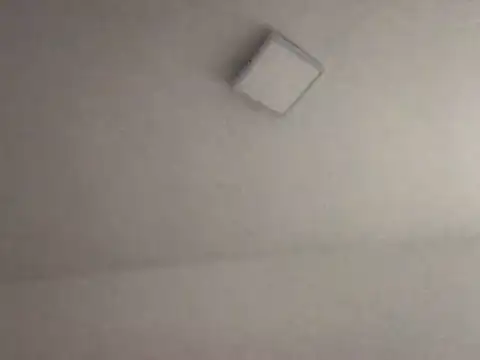 alegriadodia online show from 10.08.25