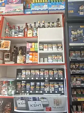 Snapshot of Fluturas2 chatting on 09.27.25 Fluturas2 online show from 09.27.25