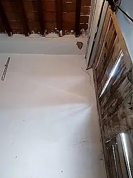 PunjabiSardarBull online show from 03.22.26