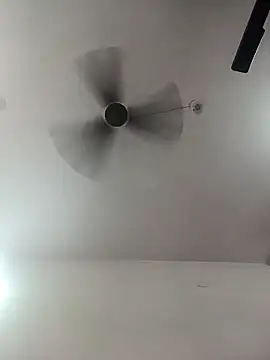 Appypie online show from 10.01.25