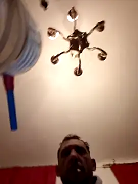 Valen tinx19cm online show from 03.16.26