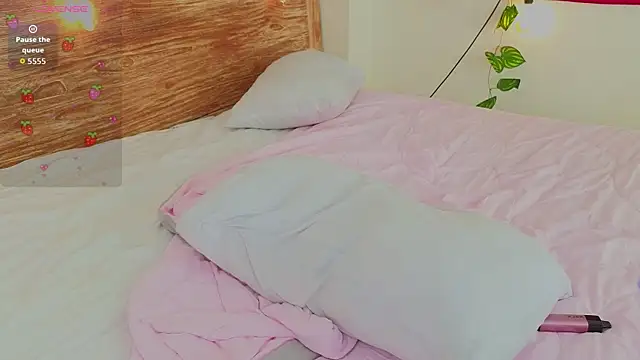 venomeowww   online show from 04.11.26