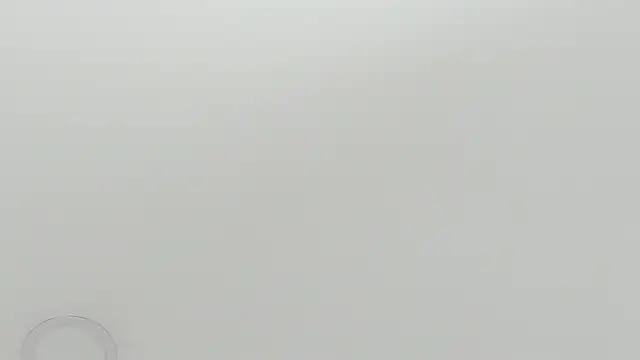 scarletross  online show from 02.26.26