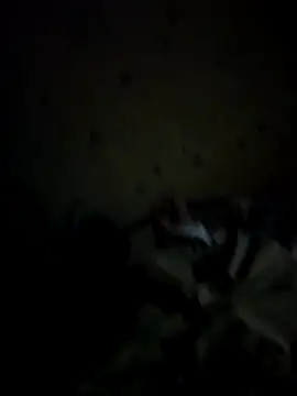 IncompatibleBean41 online show from 09.20.25