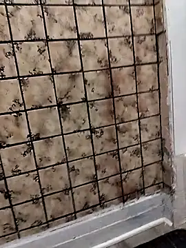 rosembertg online show from 10.03.25