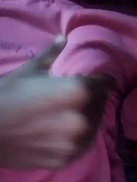 bhanu 11 online show from 09.30.25