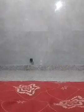 bhanu 11 online show from 10.30.25