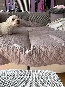 Snapshot of bananasex204 chatting on 10.25.25 bananasex204 online show from 10.25.25