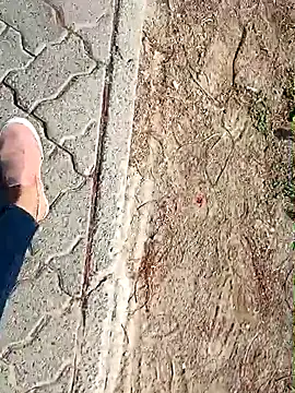 beerant online show from 10.05.25