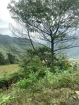 Snapshot of O_o_UwU_o_O chatting on 11.06.25 O o UwU o O online show from 11.06.25