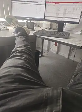 stunning stallion online show from 10.10.25