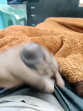 Yourminal online show from 10.05.25