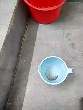 Yourminal online show from 10.23.25