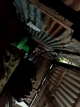 brein8 online show from 09.21.25