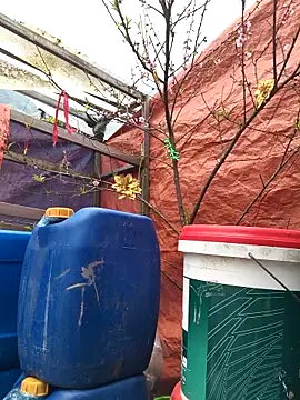 liu-liusexy online show from 02.15.26