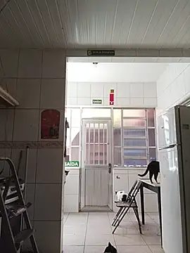 dinho carioca online show from 02.13.26