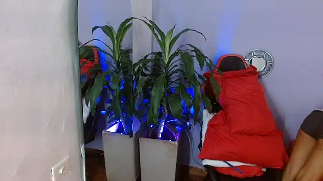 ivy scorpio online show from 10.15.25