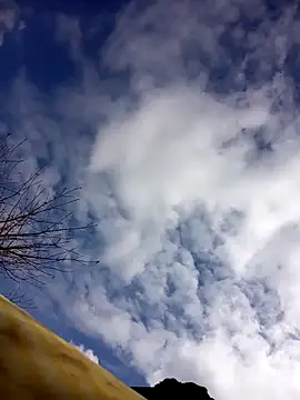 Snapshot of tcm-cute chatting on 10.23.25 tcm-cute online show from 10.23.25