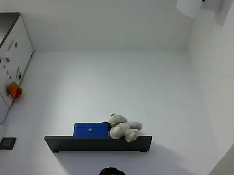 IMGTomi online show from 06.17.26
