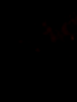 Payal950 online show from 01.31.26