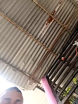 wwwww143 online show from 11.21.25