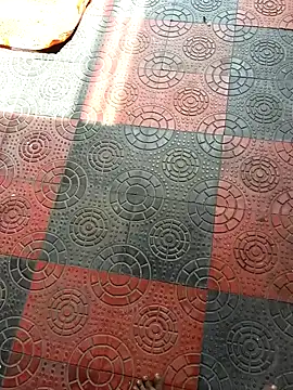 Telugu coupul online show from 10.11.25