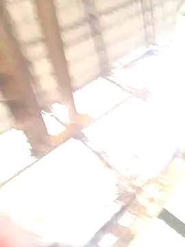 xyz-indian online show from 10.11.25