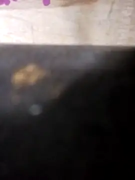 Snapshot of Jeremycle chatting on 10.25.25 Jeremycle online show from 10.25.25