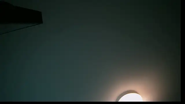 dick playy online show from 10.01.25