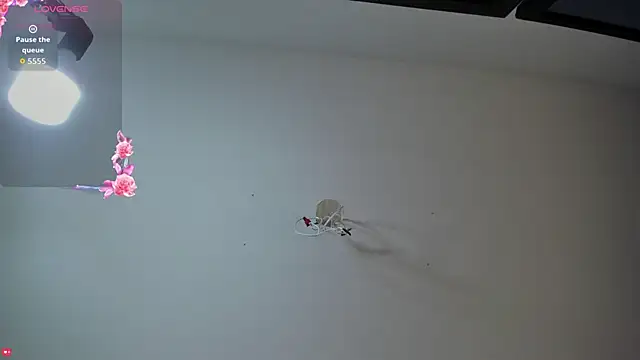 Ashleymorgan vc online show from 09.16.25