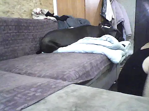 Milana38 online show from 10.07.25