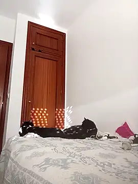 Snapshot of oscartres chatting on 11.02.25 oscartres online show from 11.02.25