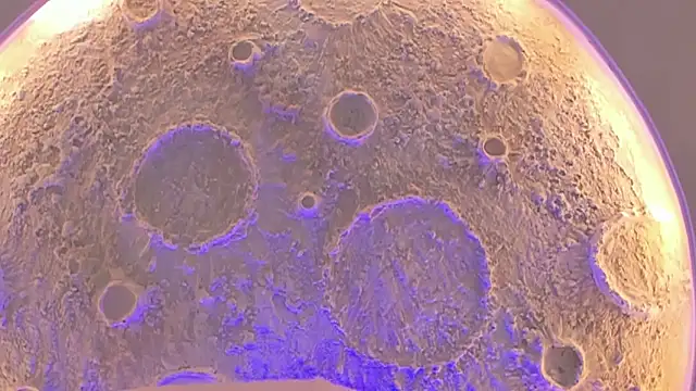  Noah19 online show from 10.16.25