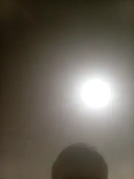 Bebicho14 online show from 02.10.26