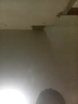 Bebicho14 online show from 04.04.26