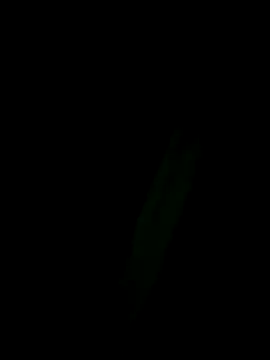 Marleymols online show from 12.02.25