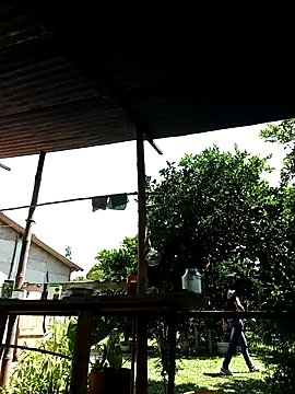 Snapshot of AlphaAlterX chatting on 10.02.25 AlphaAlterX online show from 10.02.25