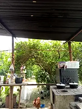 AlphaAlterX online show from 03.11.26