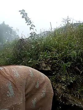 Snapshot of may-squirl chatting on 10.24.25 may-squirl online show from 10.24.25