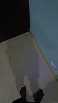 Lavanyaatelugu online show from 11.14.25