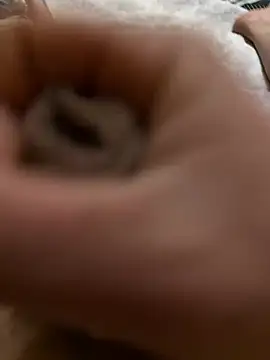 nbka12 online show from 02.01.26