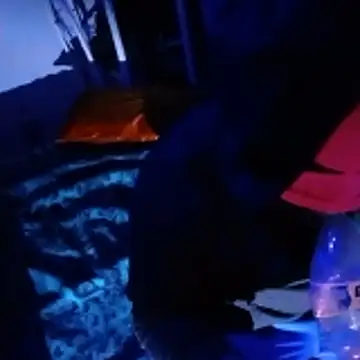 johnboones10 online show from 02.22.26