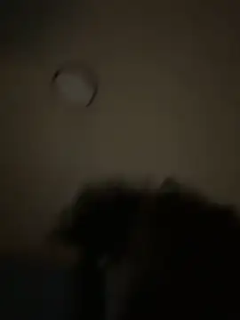 bunbun420247 online show from 12.05.25