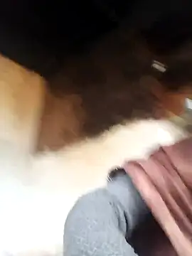 Sapna ji45 online show from 10.29.25